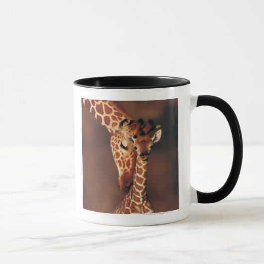 Volwassen Giraffe met kalf (Giraffa camelopardalis Mok (Rechts)
