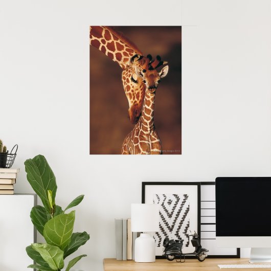 Volwassen Giraffe met kalf (Giraffa camelopardalis Poster (Thuiskantoor)