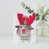 Volwassen hond Weimaraner die rode Feestdagenkaart (Staand voorkant)