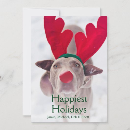 Volwassen hond Weimaraner die rode Feestdagenkaart (Voorkant)