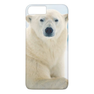 Volwassen ijsbeer grote beer op het zomerijs 	iPhone 8/7 plus hoesje