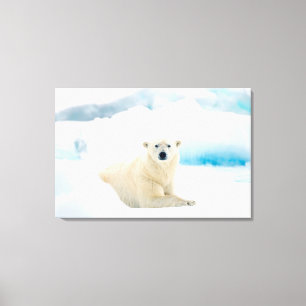 Volwassen ijsbeer grote mannetjesbeer op het zomer canvas afdruk
