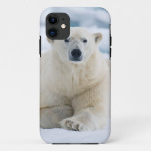 Volwassen ijsbeer op het zomerei iPhone 11 hoesje