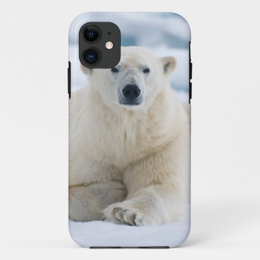 Volwassen ijsbeer op het zomerei Case-Mate iPhone case (Achterkant)