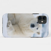 Volwassen ijsbeer op het zomerei Case-Mate iPhone case (Achterkant (horizontaal))