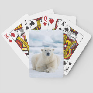 Volwassen ijsbeer op het zomerse pakijs pokerkaarten