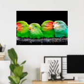 Volwassen kanaries zijn kleine vogels, ongeveer 12 poster (Thuiskantoor)