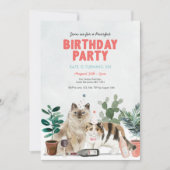 Volwassen katten en Planten voor de introductie va Kaart (Voorkant)