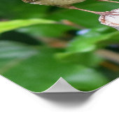 Volwassen kinderen met een insect in de mond poster (Hoek)