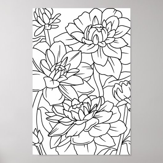 Volwassen kleuring Lotus Bloemen 1 Poster (Voorkant)