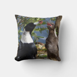 Volwassen Magpie met Juvenile Kussen
