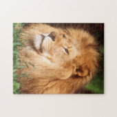 Volwassen mannelijke leeuw legpuzzel (Horizontaal)