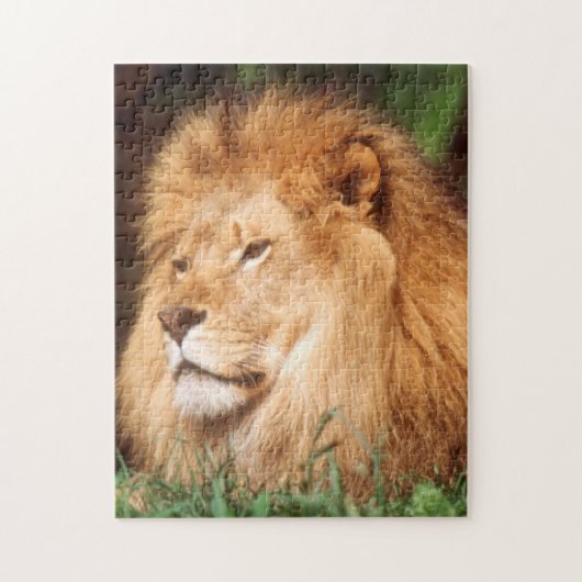 Volwassen mannelijke leeuw legpuzzel (Verticaal)