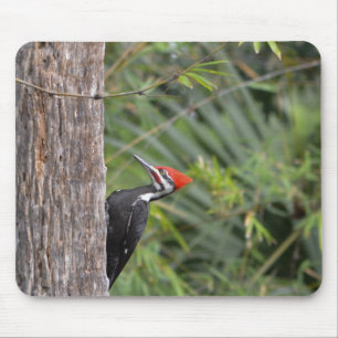 Volwassen mannelijke Pileated specht vogel profiel Muismat