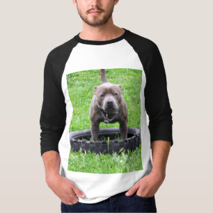 Volwassen mannelijke Staffordshire Bull Terrier, T-shirt