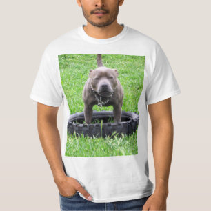 Volwassen mannelijke Staffordshire Bull Terrier, T-shirt