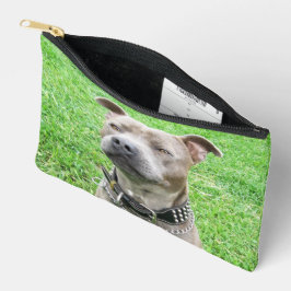Volwassen mannelijke Staffordshire Bull Terrier zi Etui