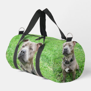 Volwassen mannelijke Staffordshire Bull Terrier zi Plunjezak