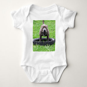 Volwassen mannelijke Staffordshire Terrier klaar o Romper