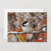 Volwassen met zwarte capuchon in de sneeuw briefkaart (Voorkant / Achterkant)