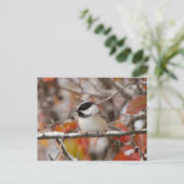 Volwassen met zwarte capuchon in de sneeuw briefkaart (Staand voorkant)