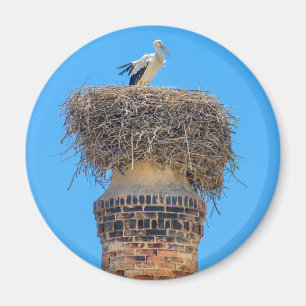Volwassen ooievaar in nest op schoorsteen.JPG Magneet