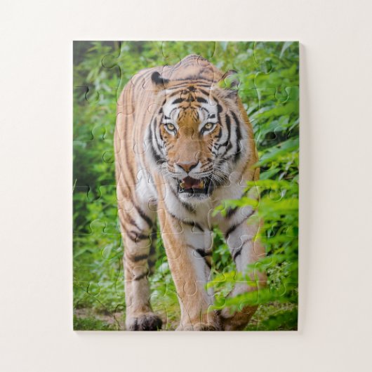 Volwassen tijger die zich voortplant onder heldere legpuzzel (Verticaal)