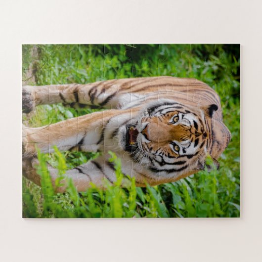 Volwassen tijger die zich voortplant onder heldere legpuzzel (Horizontaal)