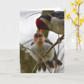 Volwassen voedende Jongere geel-Gefactureerde Kaart (Gele Bloem)