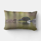 Volwassen zeemeeuw voert kuiken kussen (Achterkant)