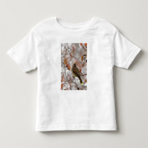 Volwassen zijdestaart op meidoorn met sneeuw, kinder shirts