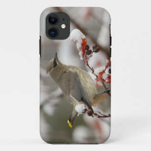 Volwassen zijdevink op meidoorn met sneeuw iPhone 11 hoesje