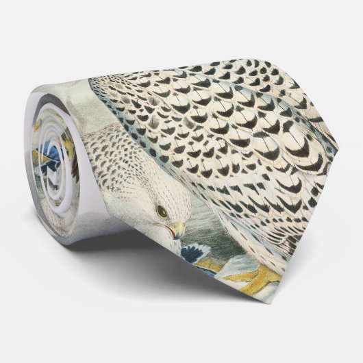 Volwassen zwarte valk vogels in Groot-Brittannië Stropdas (Opgerold)
