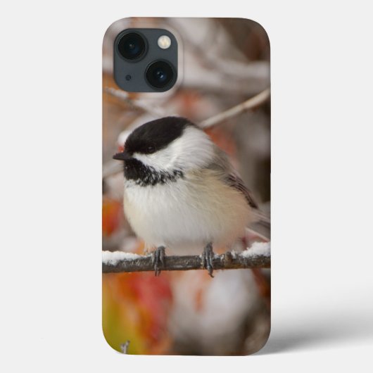 Volwassen zwartkapmees in de sneeuw Case-Mate iPhone case (Achterkant)