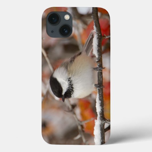 Volwassen zwartkapmees in sneeuw Case-Mate iPhone case (Achterkant)