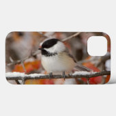 Volwassen zwartkapmees in sneeuw Case-Mate iPhone case (Achterkant (horizontaal))