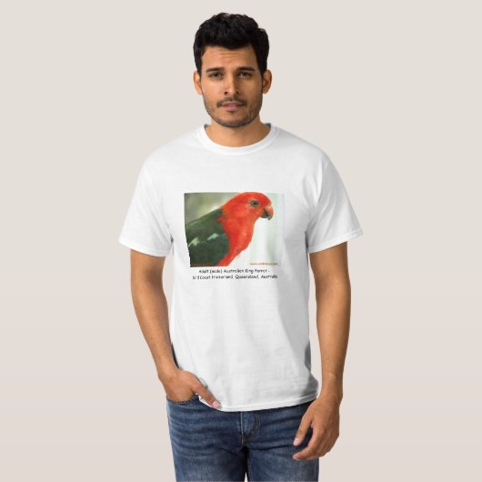 Volwassenen (mannen) Australian King Parrot T-shirt (Voorkant volledig)