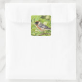 Volwassenen met de baai van Warbler (Dendroica cas Vierkante Sticker (Tas)
