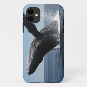Volwassenen van de walvis iPhone 11 hoesje