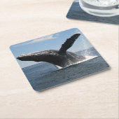 Volwassenen van de walvis kartonnen onderzetters (Schuin)