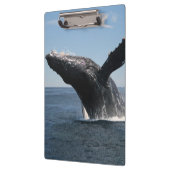 Volwassenen van de walvis klembord (Links)