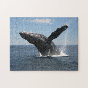 Volwassenen van de walvis legpuzzel