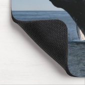 Volwassenen van de walvis muismat (Hoek)