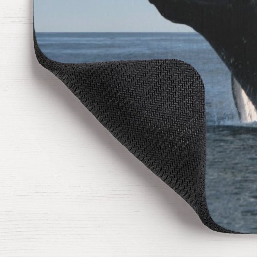 Volwassenen van de walvis muismat (Hoek)