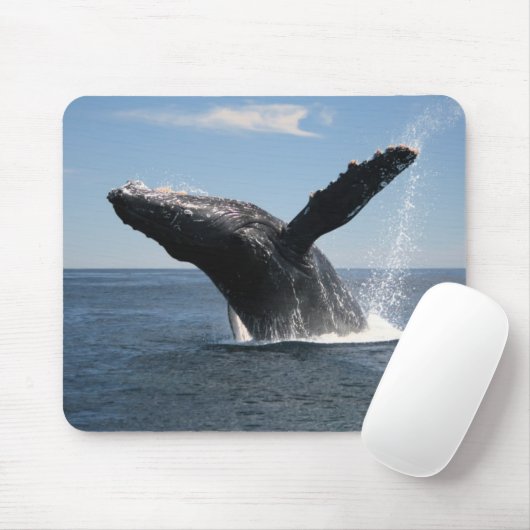 Volwassenen van de walvis muismat (Met muis)