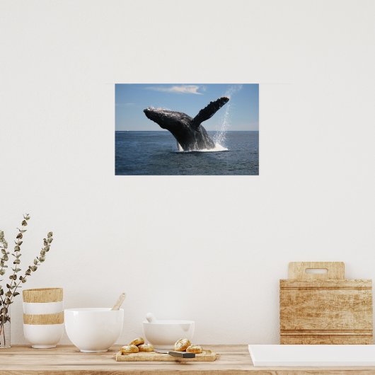 Volwassenen van de walvis poster (Keuken)