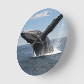 Volwassenen van de walvis ronde klok (Hoek)