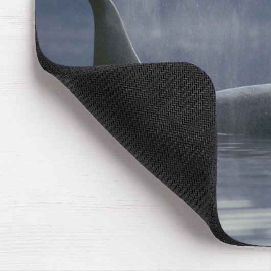 Volwassenen vrouw Orca Whale Orcinus Orca), Puget Muismat (Hoek)