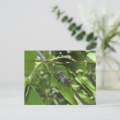 Volwassenen zwarte verzamelobjecten (Reduviid) Briefkaart (Staand voorkant)