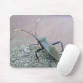 Volwassenen zwarte verzamelobjecten (Reduviid) Muismat (Met muis)